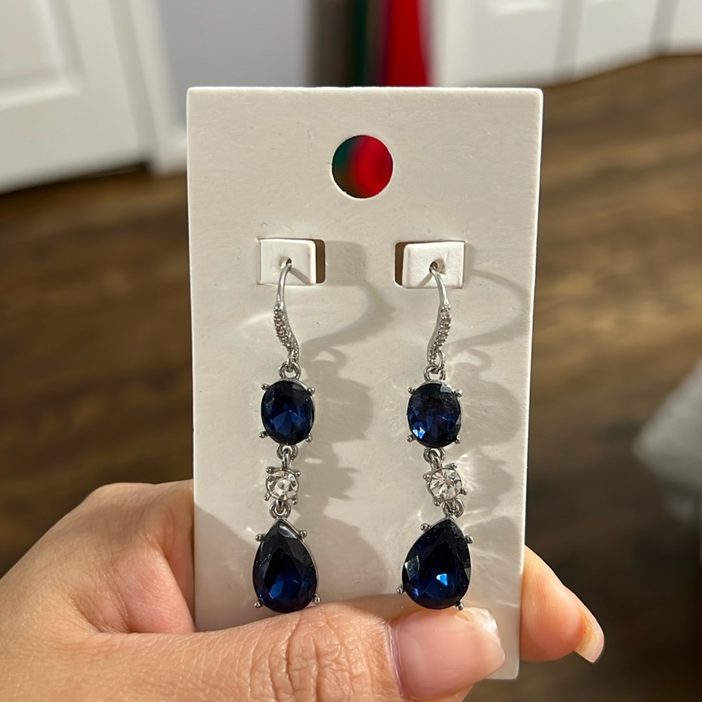 Blue silver Earrings